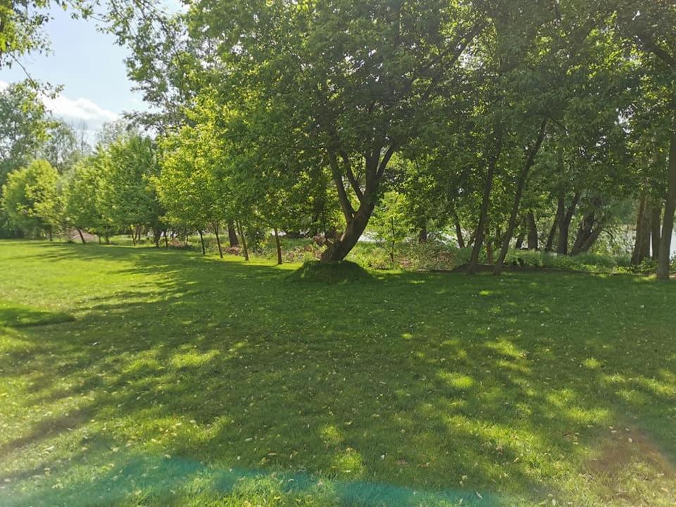 Pensiunea Lunca Арад Экстерьер фото